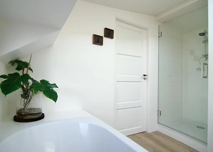 Eco Houseboat 4* Amsterdam