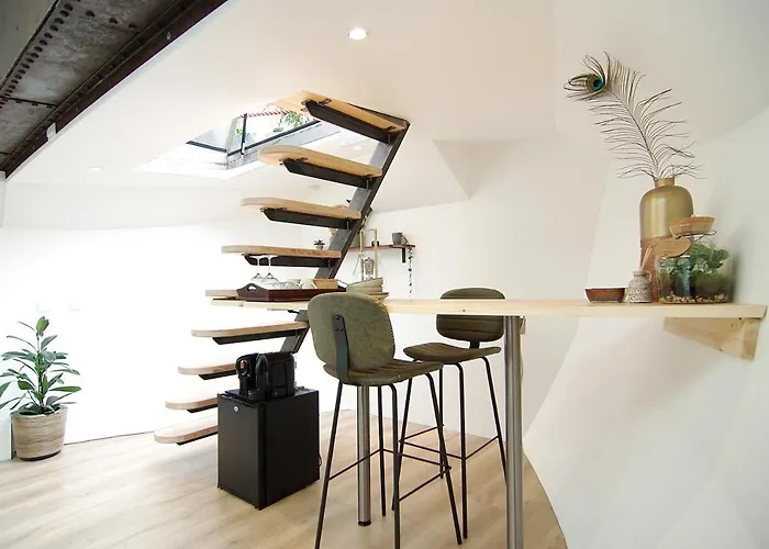 Gasthuis Eco Houseboat 4*