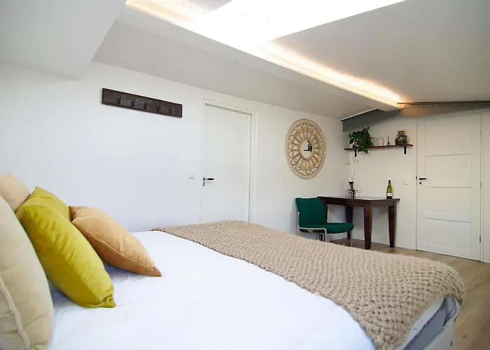 Gasthuis Eco Houseboat