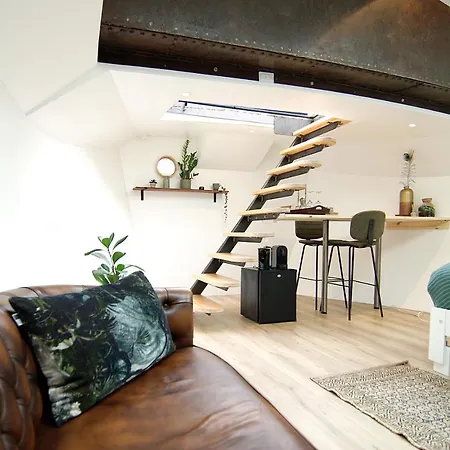 Eco Houseboat בית הארחה אמסטרדם